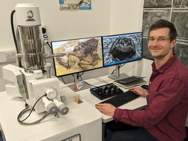 Дэниел Фальк исследует образцы ископаемой кожи гейзельтальской лягушки с помощью электронного микроскопа